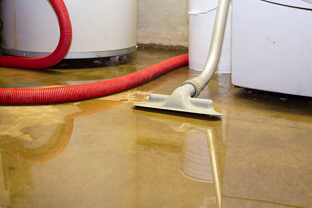 Professional Water damage restoration in Adamsville, TN