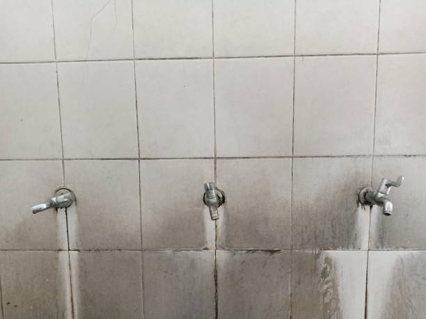 Best Flood damage cleanup  in Adamsville, TN