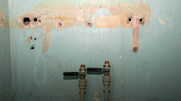 Best Emergency water damage restoration  in Adamsville, TN