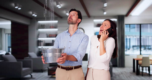 Best Residential water damage restoration  in Adamsville, TN